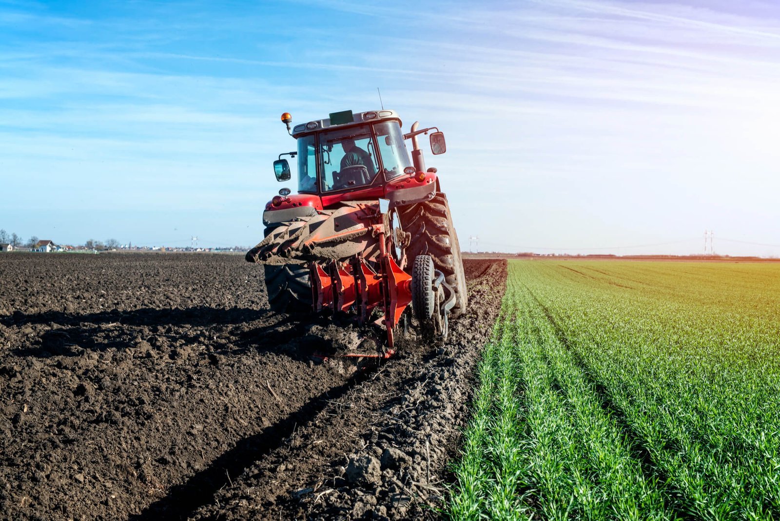 agricultura-8.jpg